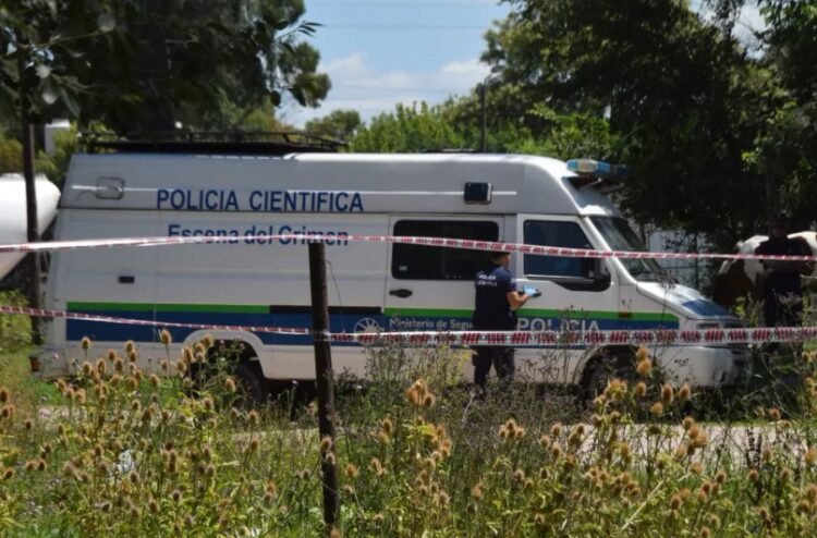 arrecifes-polijpg