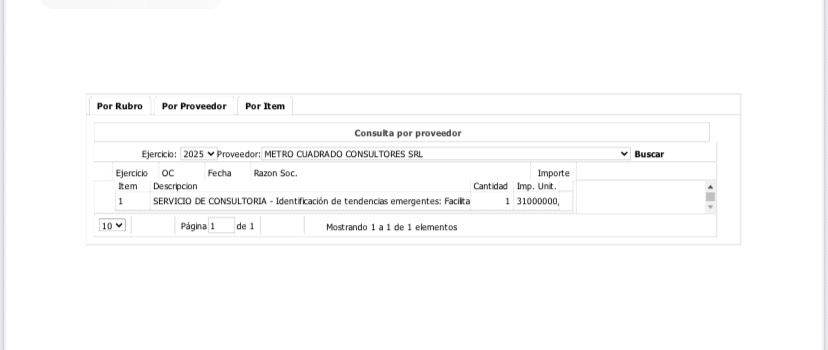 consultora muni.jpg