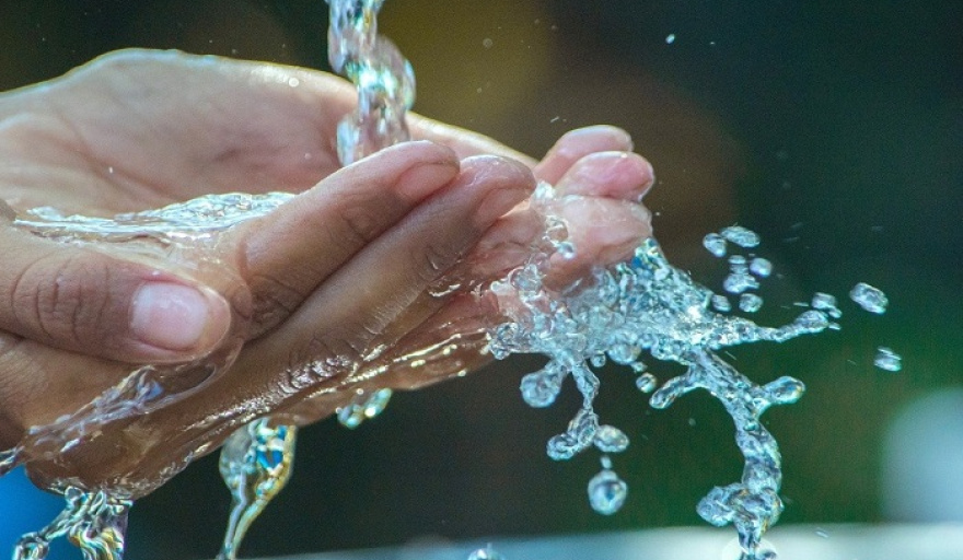 agua-lobosjpg