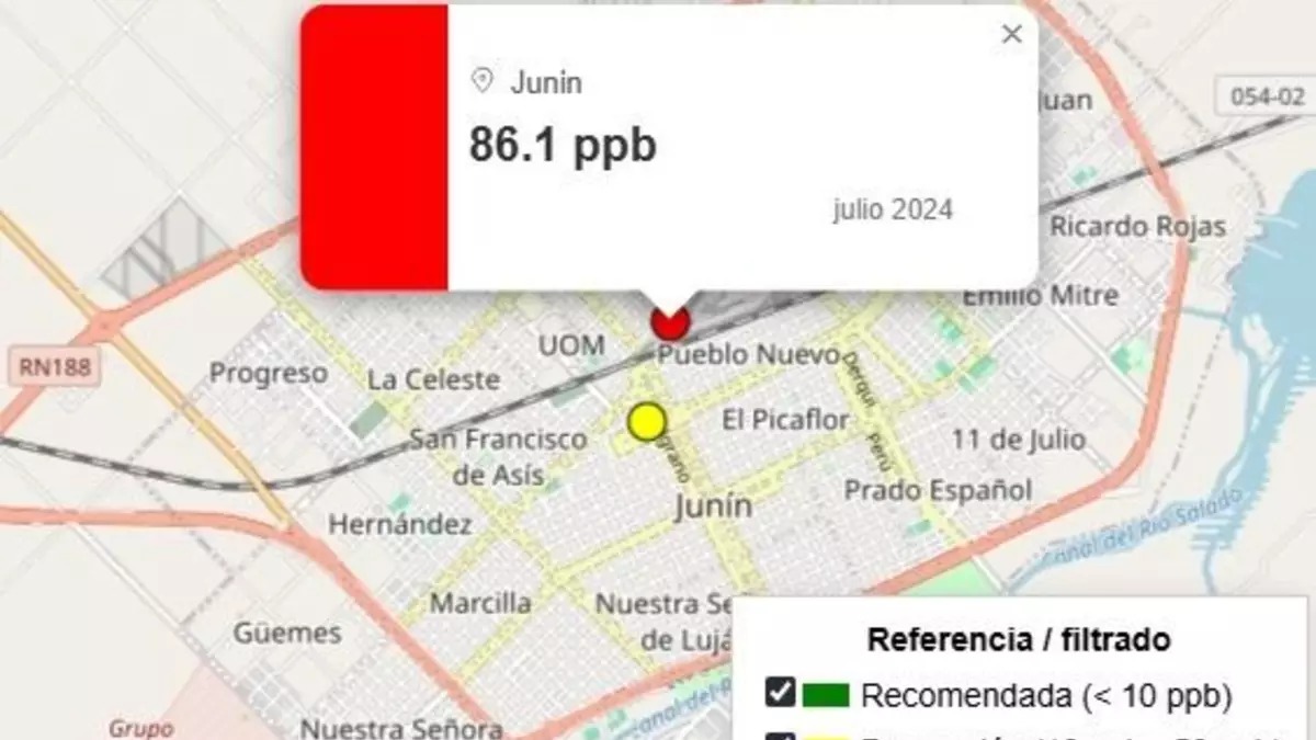 junin-aguajpg