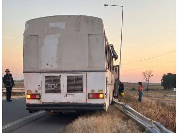 motorhome-despistejpg
