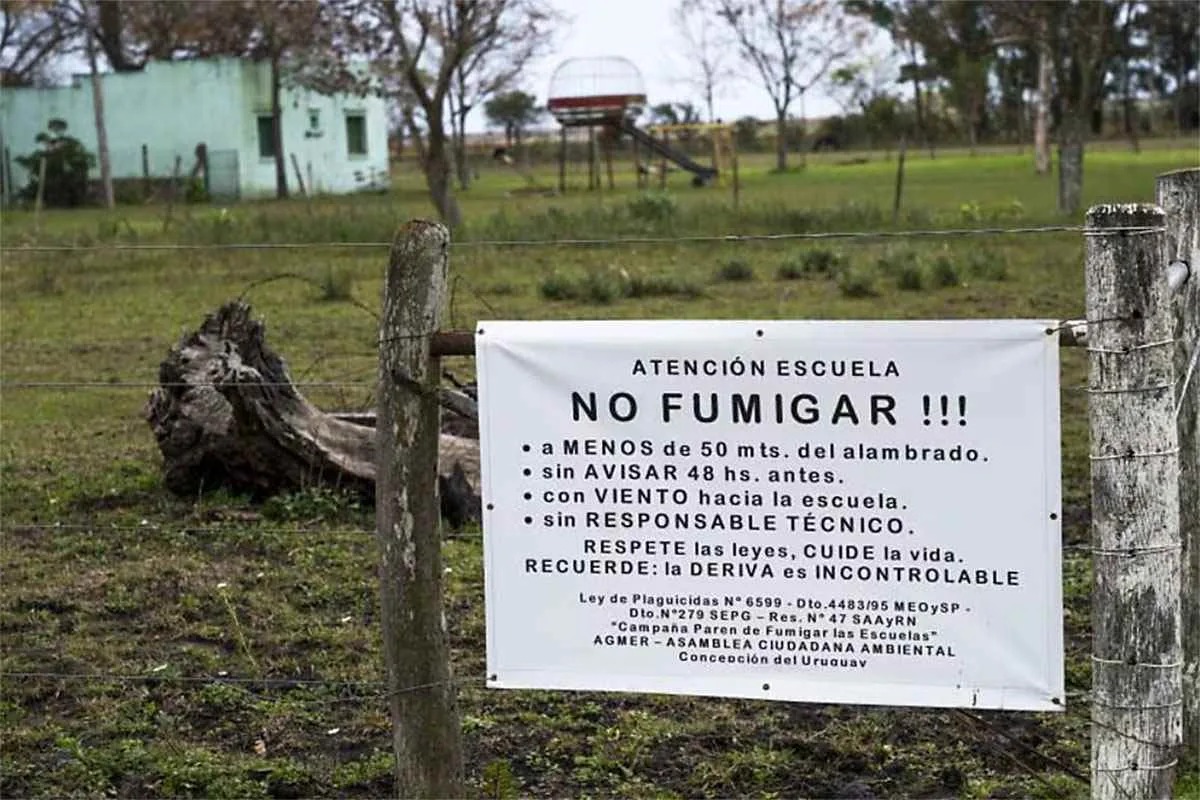 escuela-entre-riosjpg