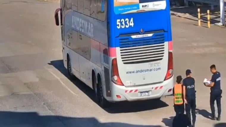 mardel-busjpg