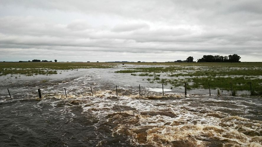 campo-inundadojpg