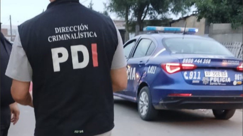 venado-polijpeg