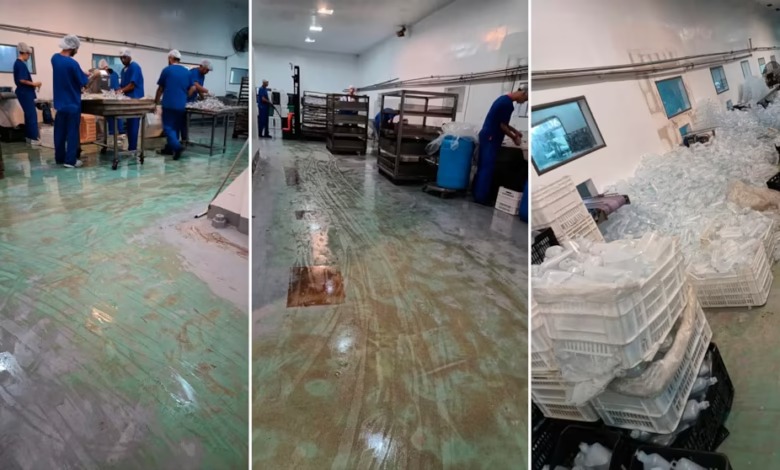 ramallo-fentanilojpg