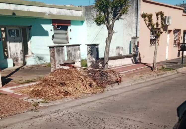 arrecifes-residuosjpeg