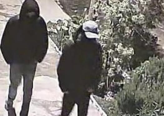 ladrones-jubiladosjpg